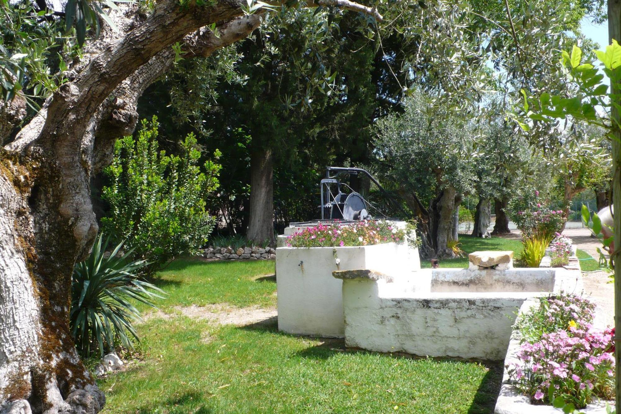 Casa Da Avo Genoveva Guest House Tomar Luaran gambar